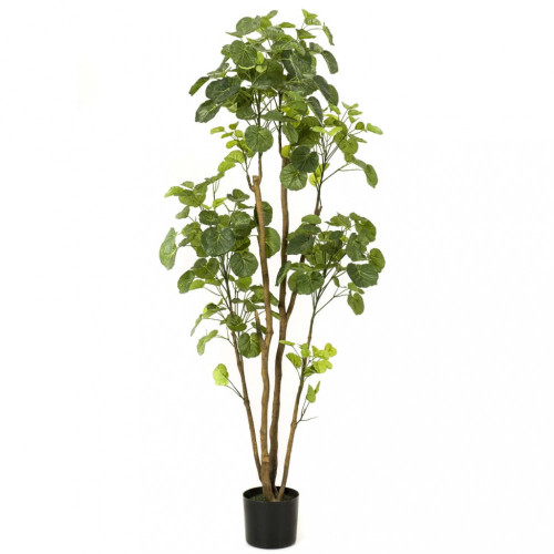 Emerald Umelá rastlina Polyscias v kvetináči 160 cm