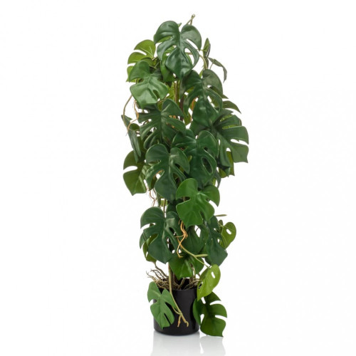 Emerald Umelá Monstera 75 cm v črepníku