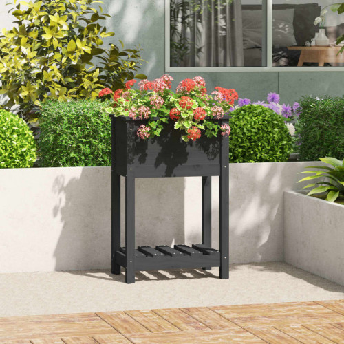 vidaXL Kvetináč s policou sivý 54x34,5x81 cm masívna borovica