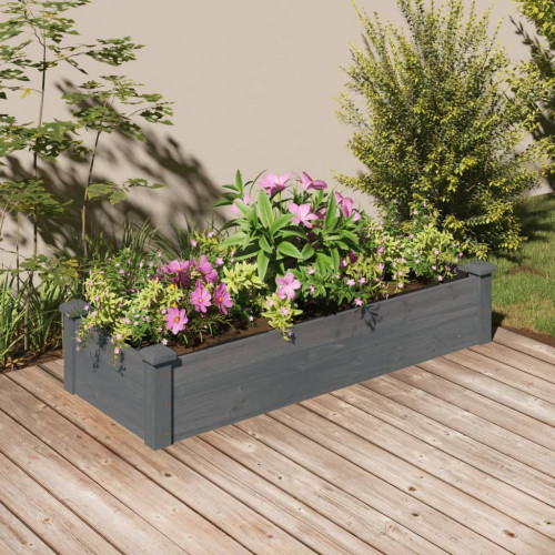 vidaXL Záhr. vyvýšený záhon s vložkou sivý 120x45x25 cm masívna jedľa