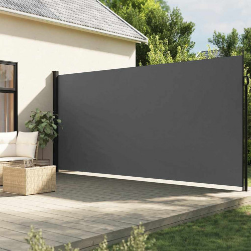 vidaXL Zaťahovacia bočná markíza, antracitová 220x300 cm